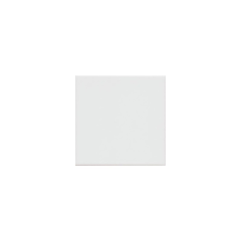 UNICOLOR 20 gris brillo 20x20 (1bal1m2)