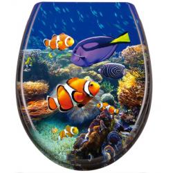 Schütte SEA LIFE | Duroplast, Soft Close 
