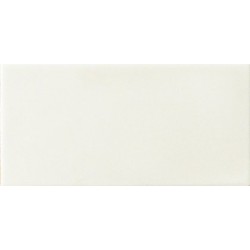 AMARCORD Bianco Matt 10x20 (bal. 1 m2)