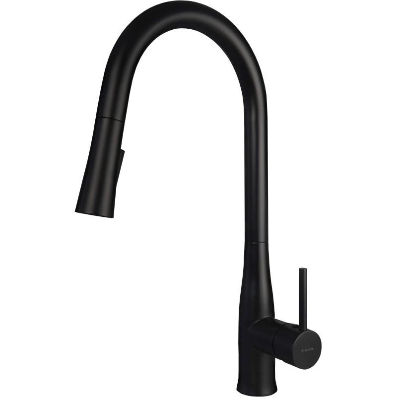 Kitchen tap, with pull-out spout