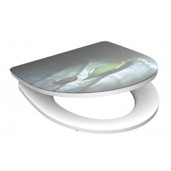 Schütte RAINDROP | Duroplast HG, Soft Close 