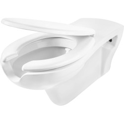 Toilet bowl, with seat, for people with reduced mobility